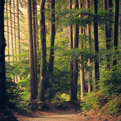 腾讯分分彩登录