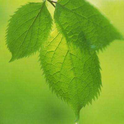 中欧体育app最新版下载