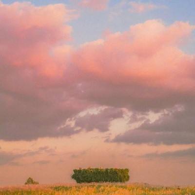 AOA体育下载手机版