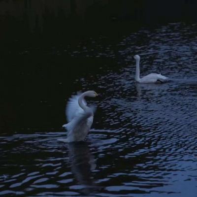 江南体育官方网址截图