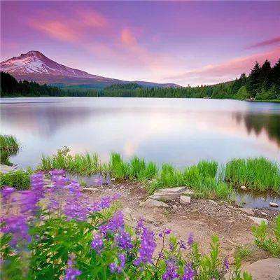 快盈lV购彩大厅手机app下载截图