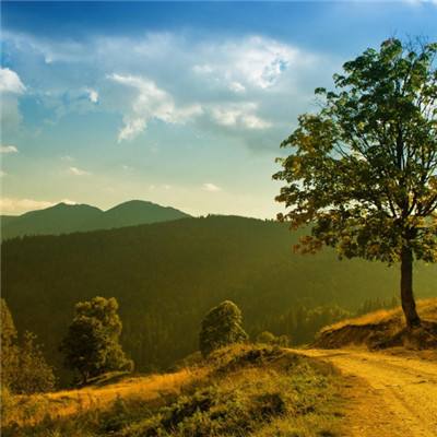 赢三张免费游戏手机app下载